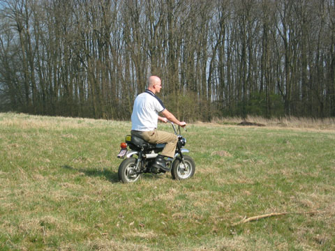 Björn am Märzbecherwald Björn am Märzbecherwald