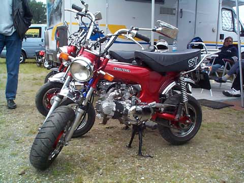 Dax rot
